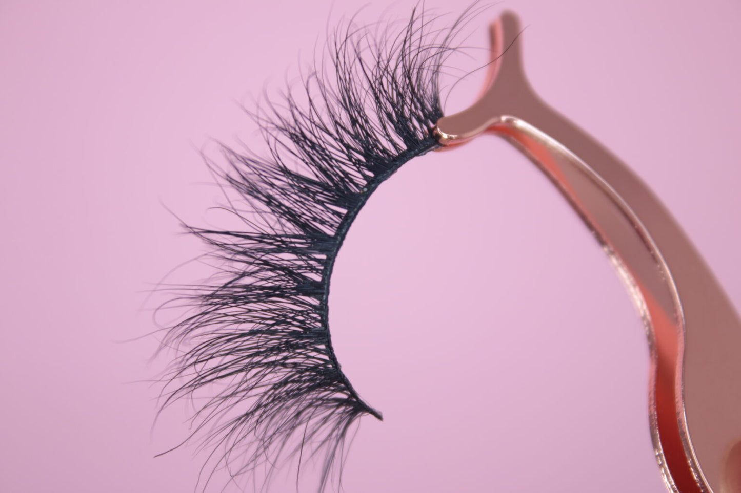 Lash Applicator